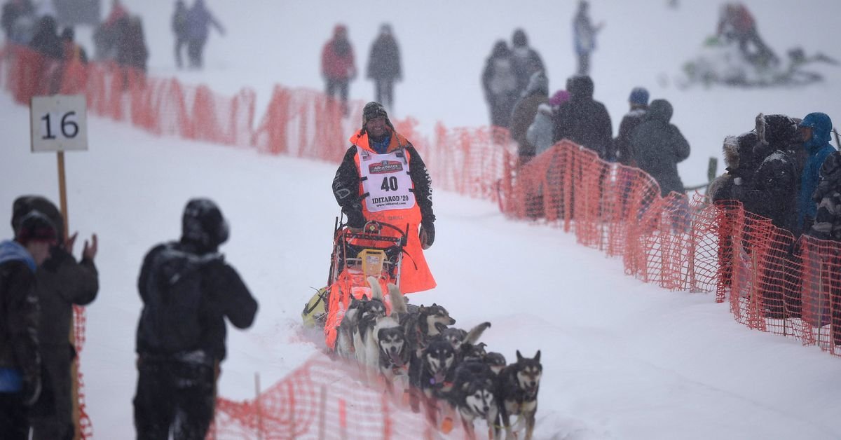 Iditarod s'ouvre avec une attaque d'orignal, un dressage sur le terrain et un accident de carcasse