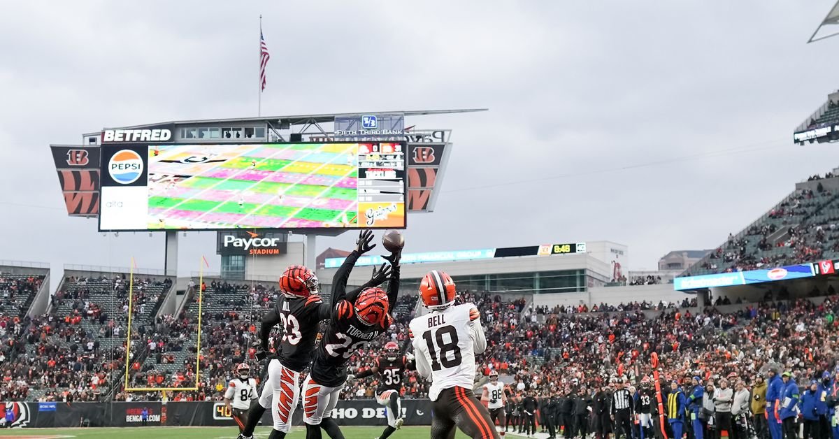 Les Bengals vous vendront une télévision bon marché lors de la rénovation du stade